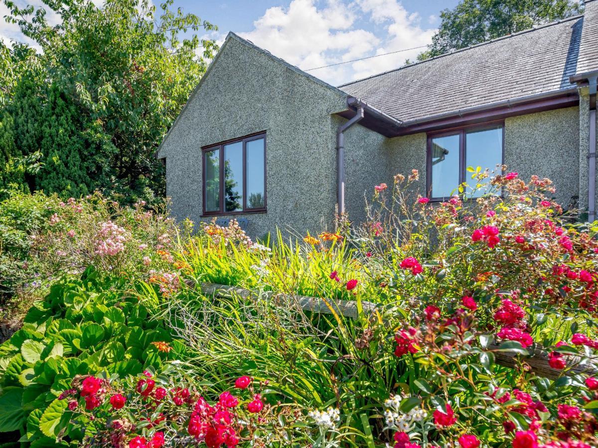 Llety Nest Villa Llanfachreth Exterior foto